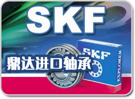 瑞典SKF進(jìn)口軸承◎進(jìn)口SKF軸承大陸總代理◢◤鼎達(dá)進(jìn)口軸承