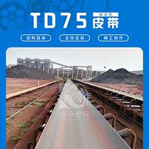 礦用固定式皮帶輸送機(jī) TD75重型皮帶運(yùn)輸設(shè)備非標(biāo)定制